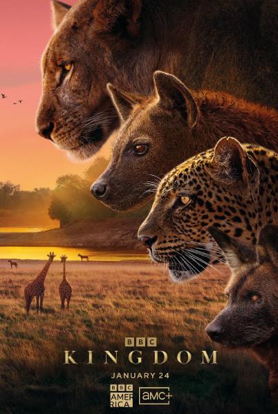 紀錄片【動物王國/Kingdom】2025年